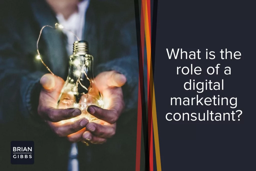 What is the role of a digital marketing consultant?