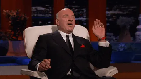 Kevin O'Leary - but wait there's more