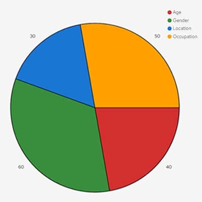 Target Audience Demographics