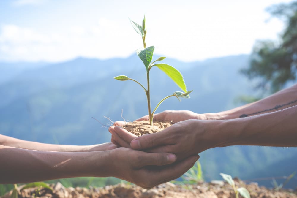 Entrepreneurs grow by working with a digital consultant. By partnering with a small business consulting service, entrepreneurs can grow.